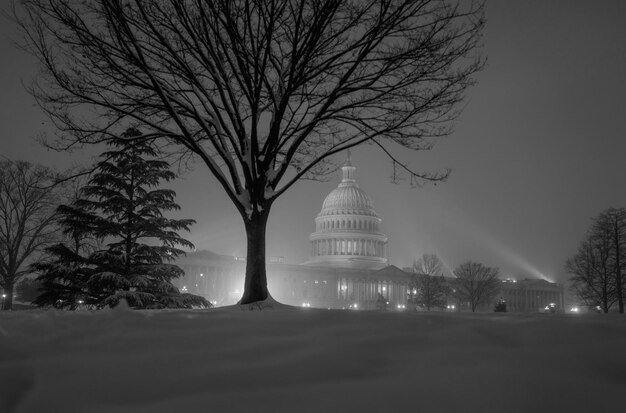 The Dark Web’s Influence on US Politics: Unveiling Manipulation and Misinformation