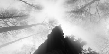 Mysterious Disappearances: Unsolved Cases in the US - Cover Image