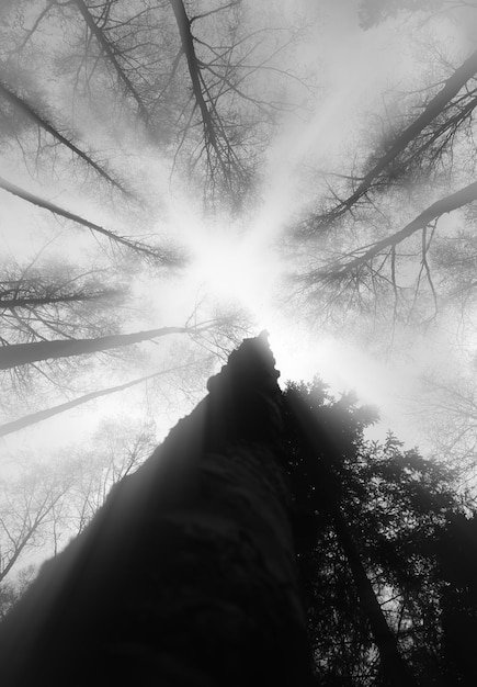 Mysterious Disappearances: Unsolved Cases in the US