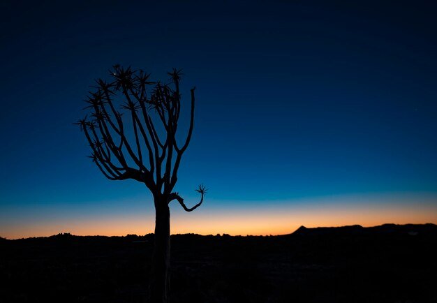 Unexplained Mysteries of the Marfa Lights: Bizarre Phenomenon in Texas