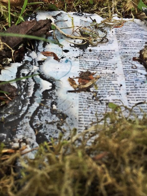 A vintage newspaper clipping reporting on an incident of frog rain. The headline is attention-grabbing, and the article describes the event in detail, including eyewitness accounts and possible explanations.