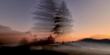 Mysterious Disappearances: Unexplained Vanishings and Theories - Cover Image