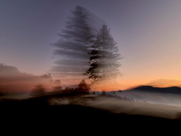 Mysterious Disappearances: Unexplained Vanishings and Theories