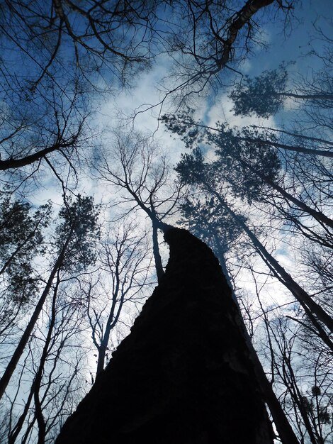 Mysterious Disappearances: Unexplained Vanishings in the US