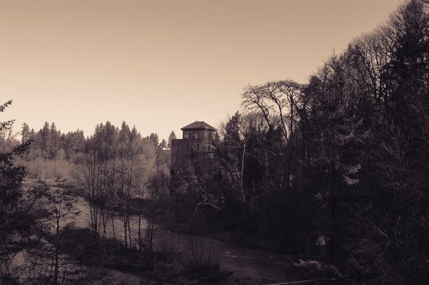 A sepia-toned photograph of the Roanoke colony site, overlaid with spectral images of colonial figures fading into the trees. The image evokes a sense of abandonment and mystery.