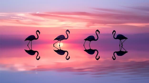 The Great Flamingo Escape: Unraveling Miami Zoo’s Mystery