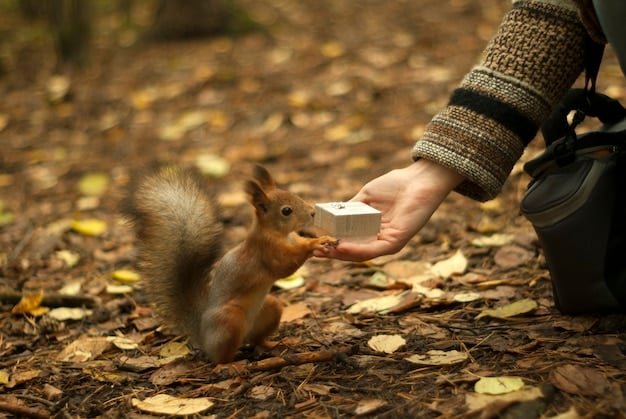 The Great Squirrel Conspiracy of ’25: Wildlife Gone Wild?