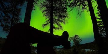 Cryptid Sightings Surge in National Parks: 2025 Analysis - Cover Image