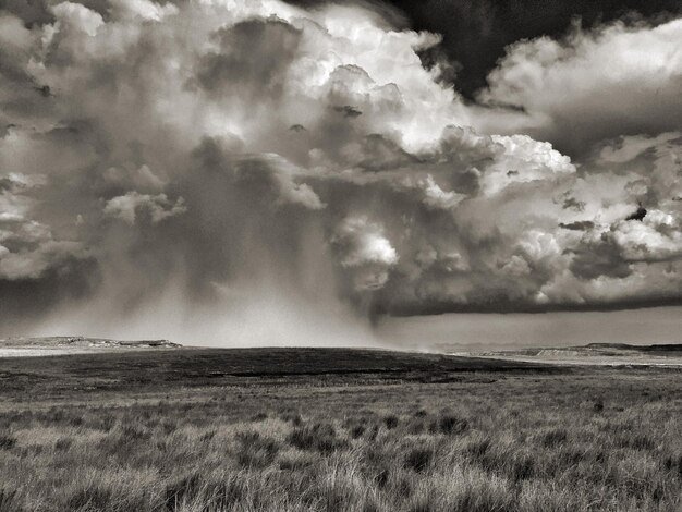 Extreme Weather Cults: Decoding Doomsday Predictions vs. Science