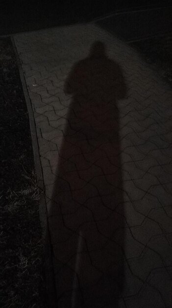 A grainy, blurred image of a dark alleyway at night, with a flickering streetlight casting long shadows. In the distance, a mysterious figure lurks, barely visible.